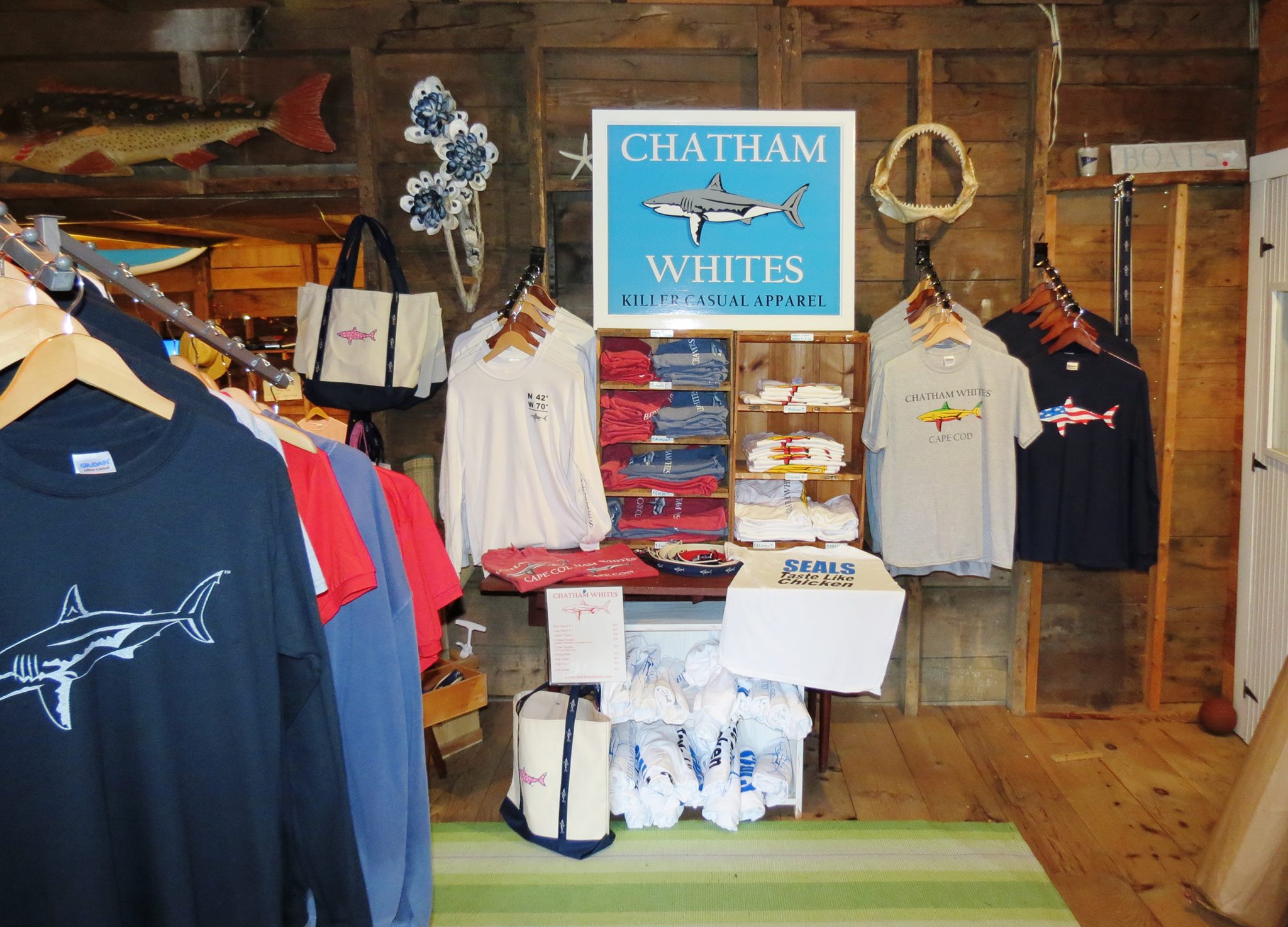 CHATHAM WHITE SHARKS - Cape Cod Beach Chair Company and Adventure Chatham - Cape Cod